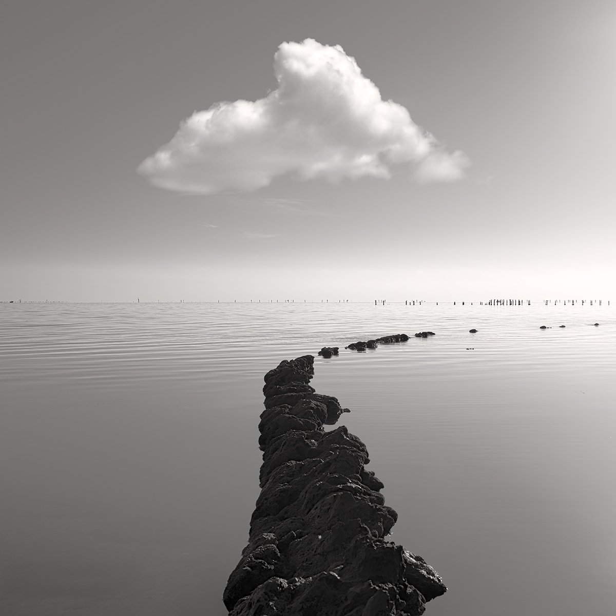 Photorealistic Landscape Photograph By Nick Psomiadis, 35 X 35", The Dell, Original Artwork