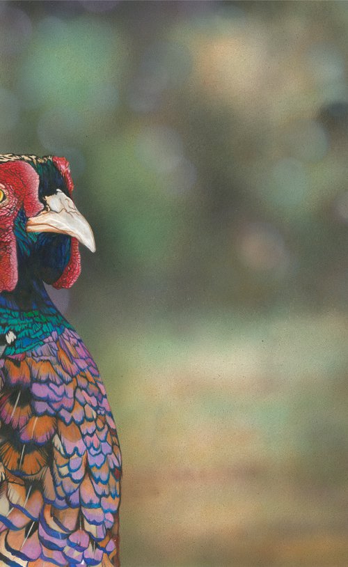 Pheasant Life by Irsa Ervin