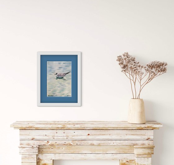 Seagull and the Sound of Water