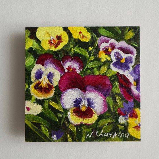 Tiny Pansies