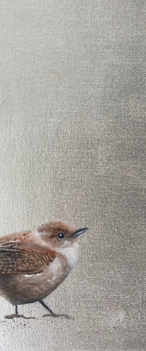 Take  Walk on the Wild Side ~ Wren by Laure Bury