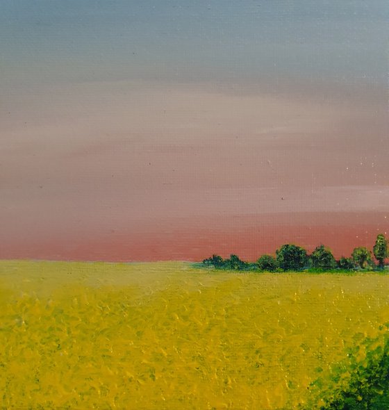 Fields of gold, 40x40cm, ready to hang
