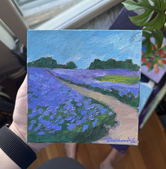 Landscape miniature