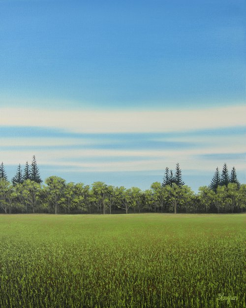 Meadow Grass - Blue Sky Landscape by Suzanne Vaughan