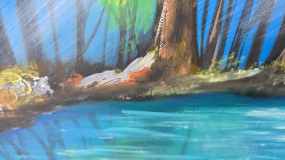 Forest Mirror