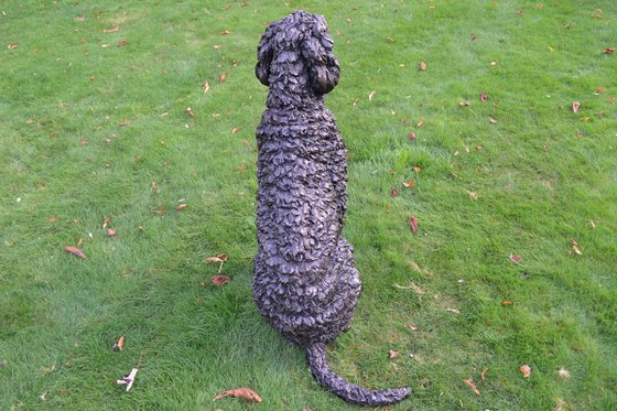 Harry Labradoodle sculpture
