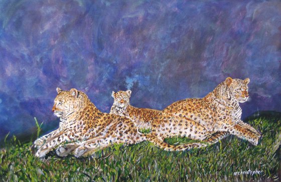 Tres Leopardos