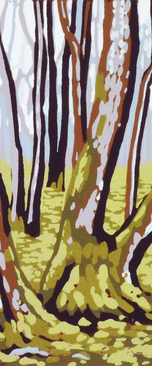 Late Winter Moss (on a Rainy Day) by Alexandra Buckle