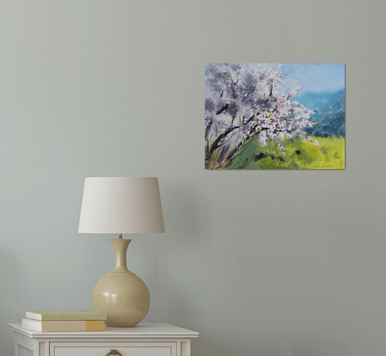 Blooming almond tree