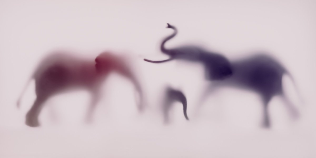Abstract Animal Photograph By Sven Pfrommer, 55 X 28", Wild Lens - Elephant Xvii, Original Artwork