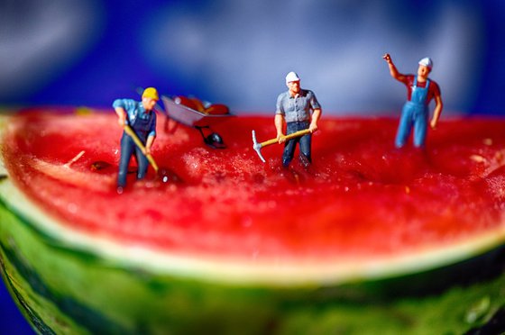 Watermelon Miners