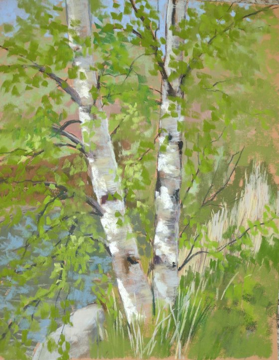 Birches Plein air