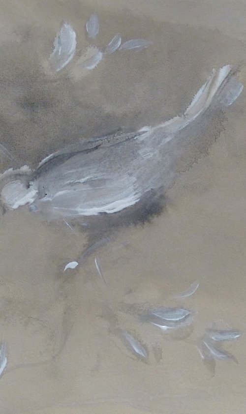 The Bird 25-2 by Frederic Belaubre