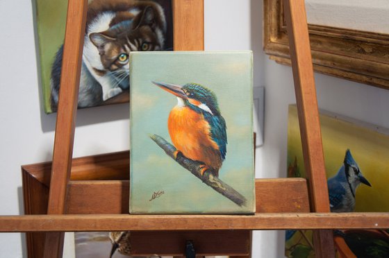 Kingfisher 4