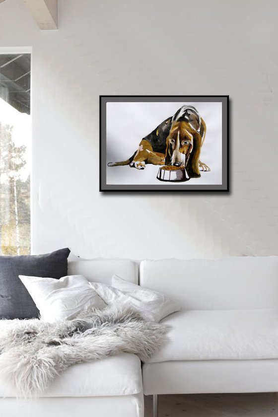 Basset Hound