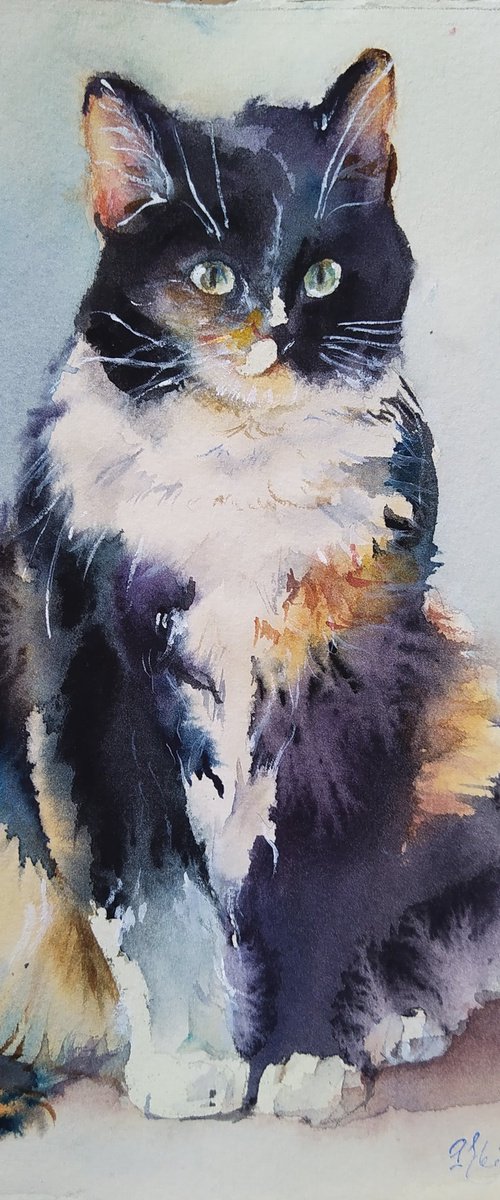 Motley cat. Sofy 20210510 by Irina Bibik-Chkolian