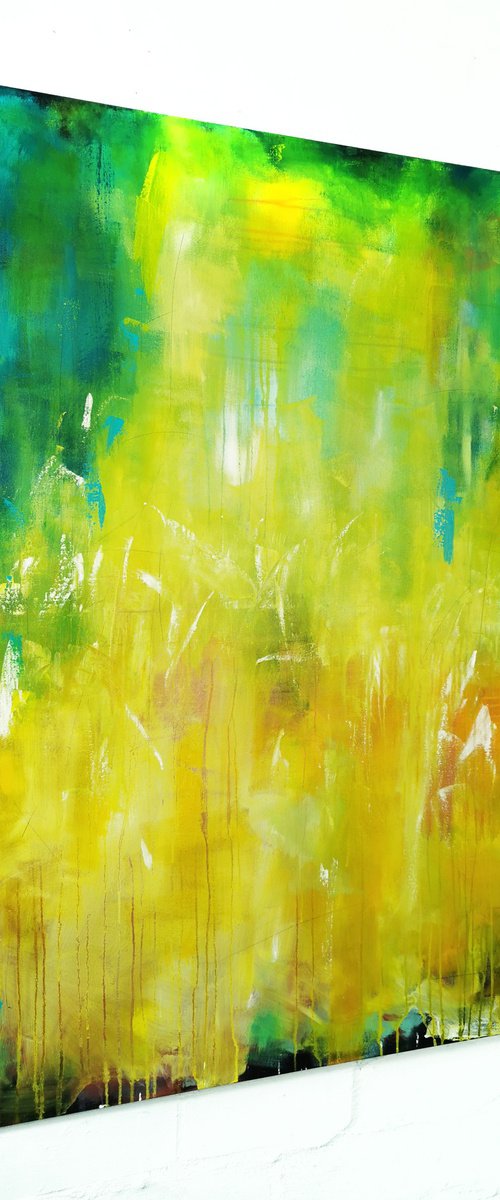 RAINFOREST by Stefanie Rogge