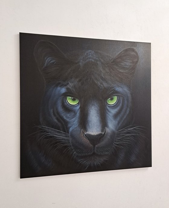 Portrait of black panther