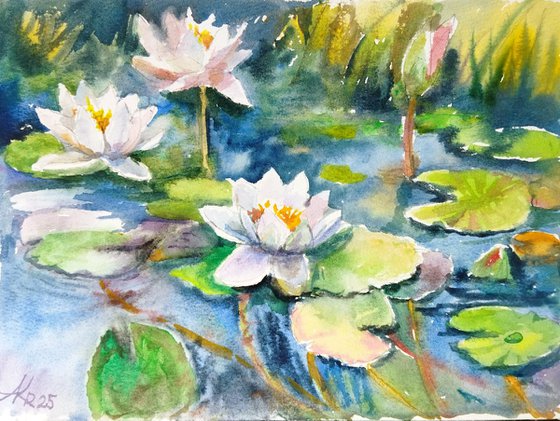 Serene water lilies