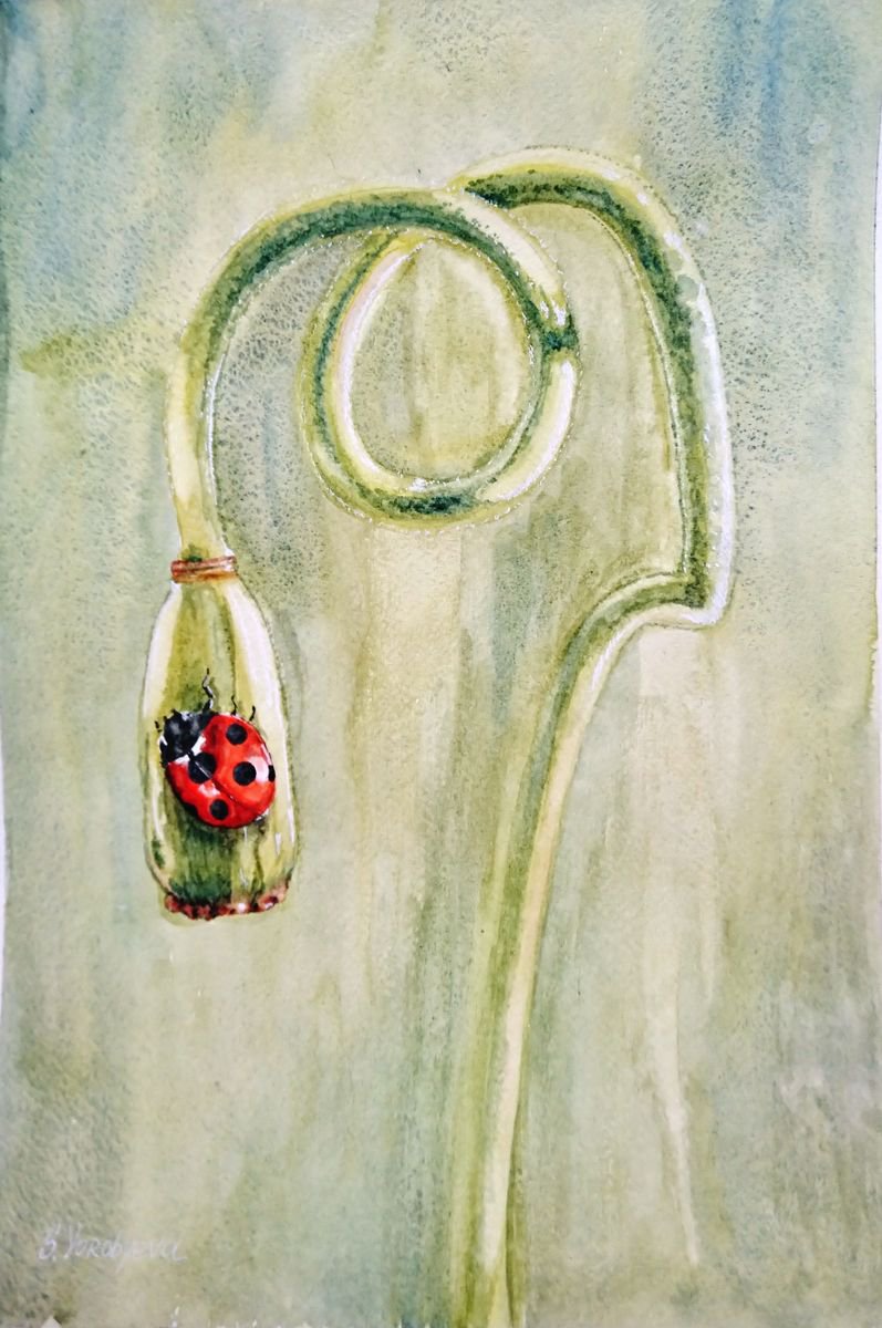 Ladybird. Watercolor painting on paper. by Svetlana Vorobyeva
