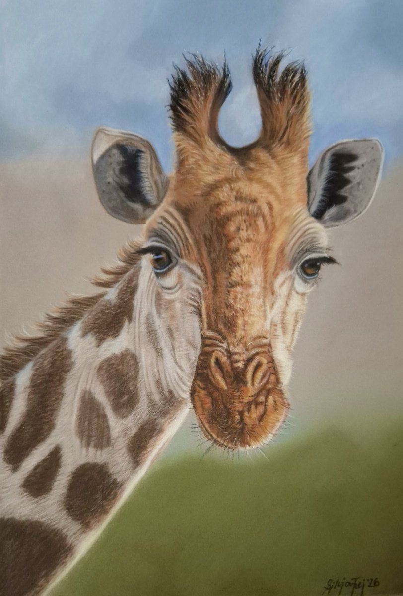 Photorealistic Pastel Drawing , Head In The Clouds By Silvia Frei, 12 X 16, Artwork For Sale On Artfinder