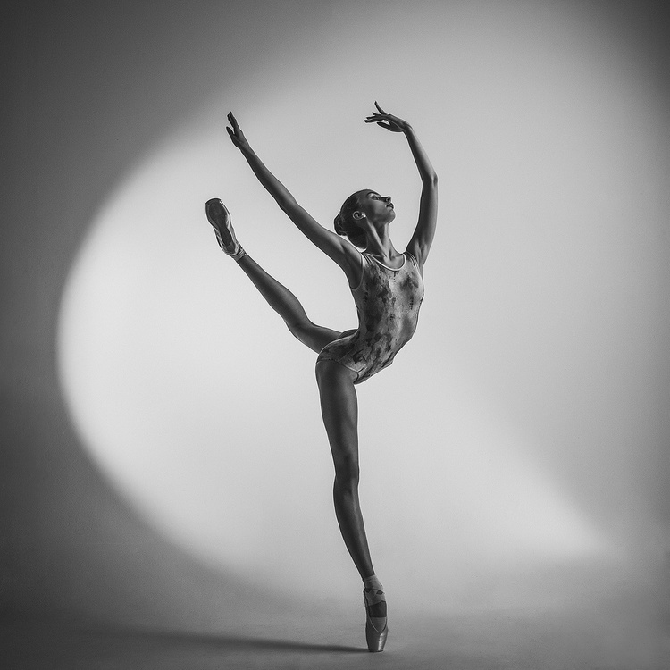 Ballerina 2020 Photograph By Dan Hecho Artfinder