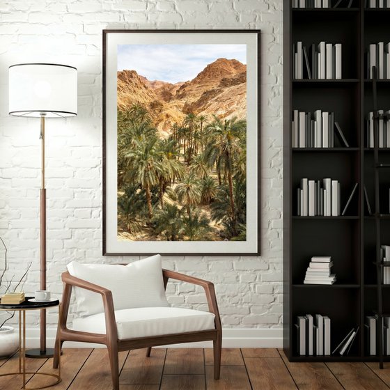 Oasis