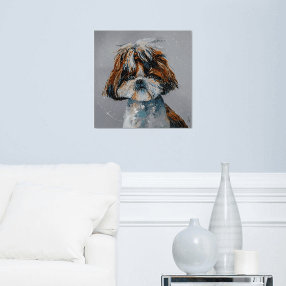 Shih Tzu