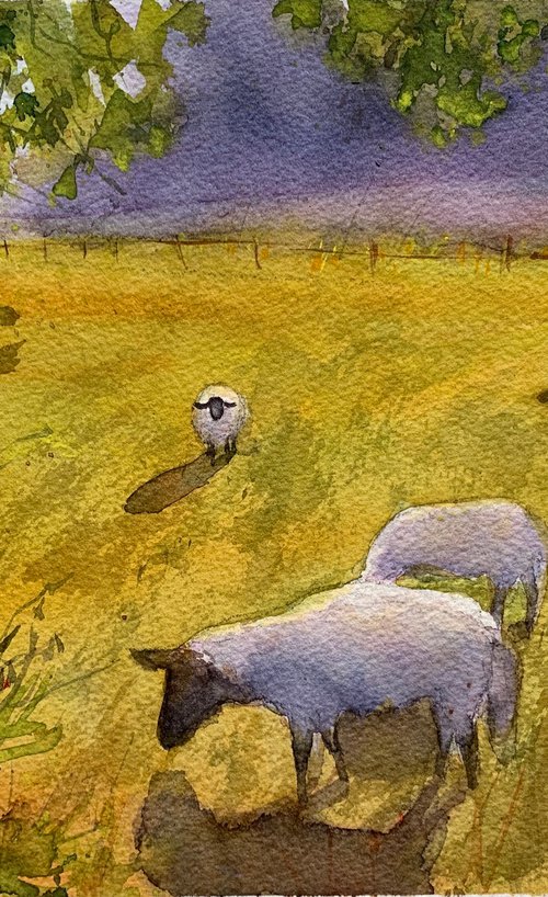 Morning graze by Shelly Du