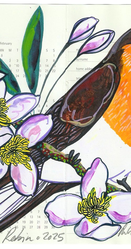 Birds of Europe: Robin by Fran Giffard