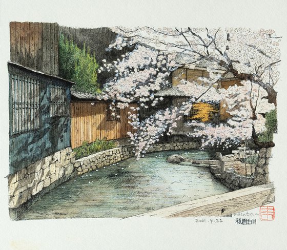 Cherry Blossoms at Shirakawa in Gion, Kyoto