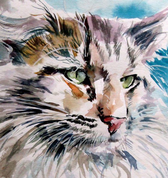 Cat portrait