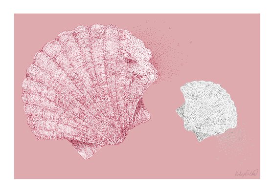 Look Shells - Scallop Shell Illustration