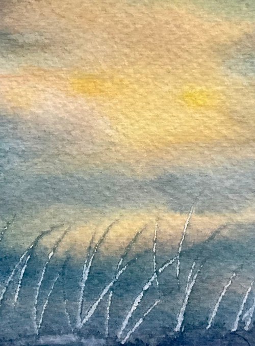 Sunset grasses by Samantha Adams