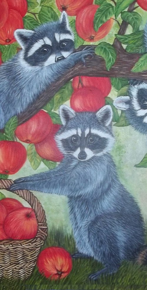 Raccoon and Apples by Sofya Mikeworth