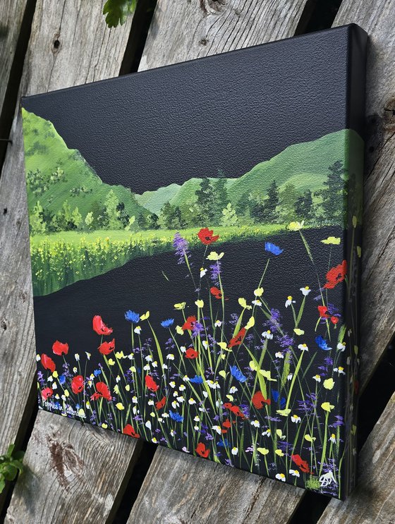Poppies in Patterdale