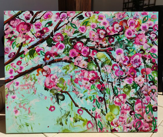 Cherry Blossom Spring