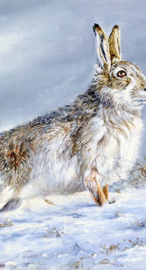 Hare Scotland by Una Hurst