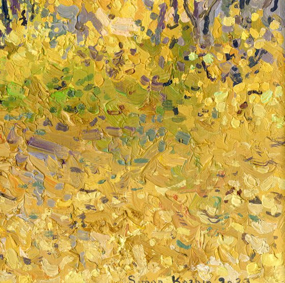 Golden maples in the park