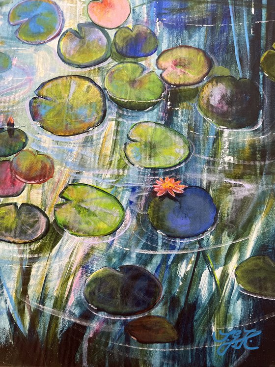 Water Lilies At Sunset 7