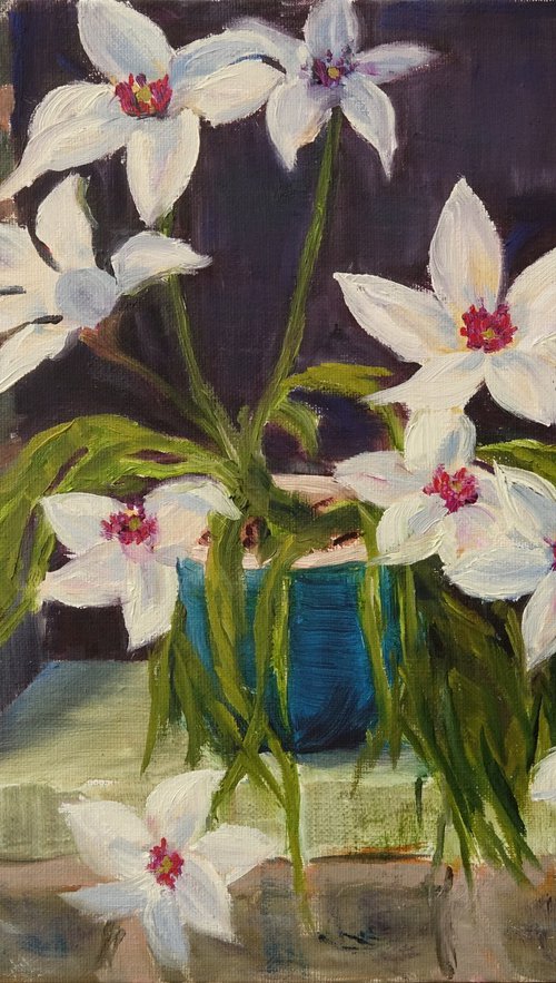 White Tulips in Pot by Marion Derrett