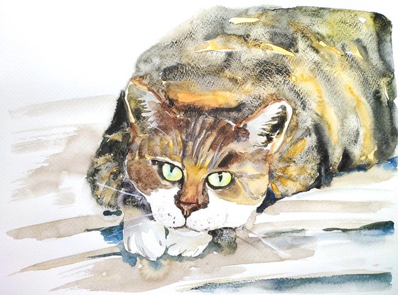 Cat watercolor