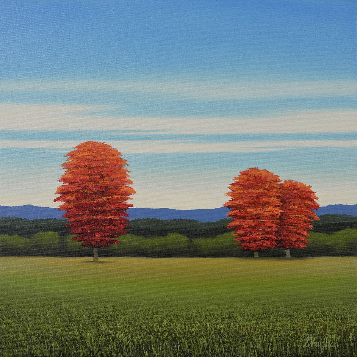 Red Trees By Suzanne Vaughan, 16 X 16, Artwork For Sale On Artfinder