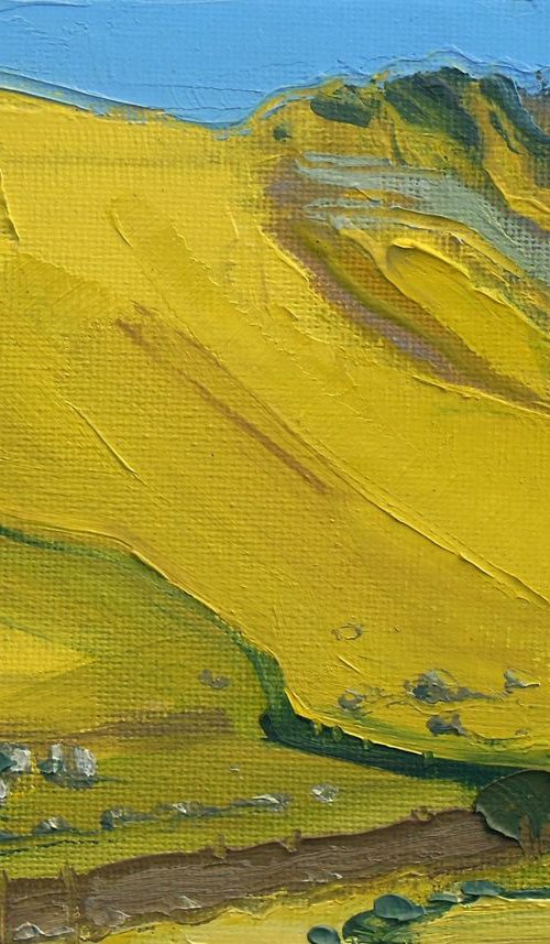 Yellow Hillside at Hartsop Dodd I by Ben McLeod