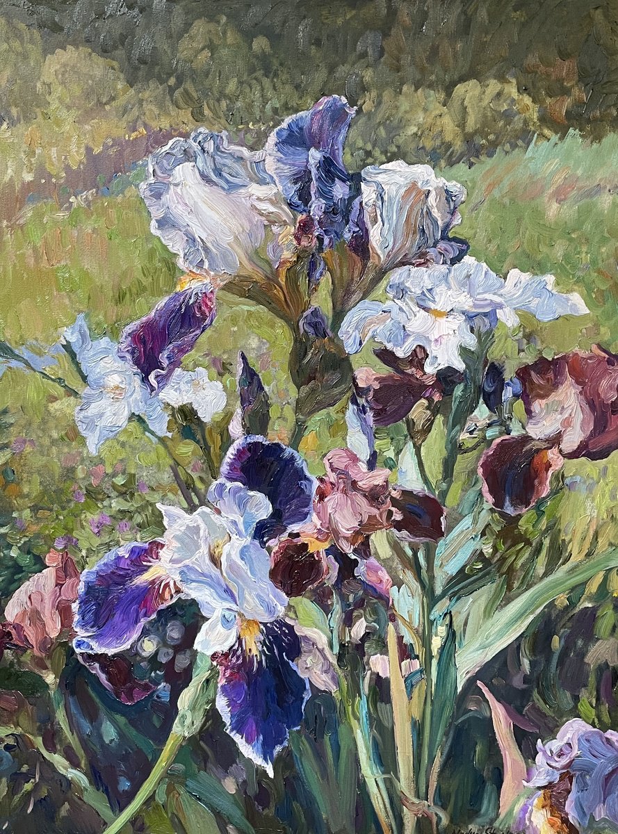 Royal Iris By Nadezda Stupina, 24 X 31, Artwork For Sale On Artfinder