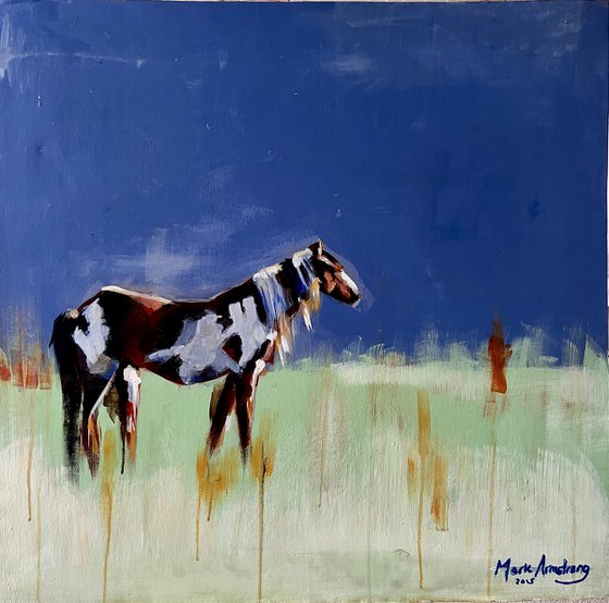 Horse with no Name