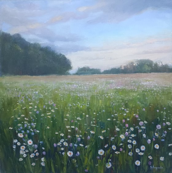 Field of daisies