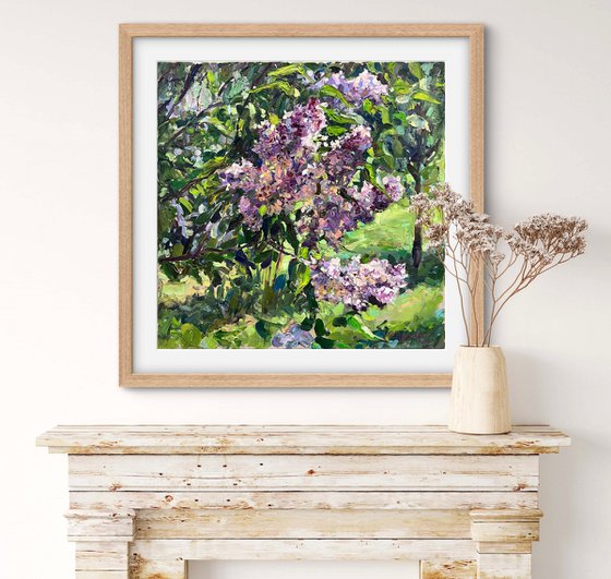 A lilac in the garden