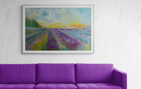 Lavender Fields 2026