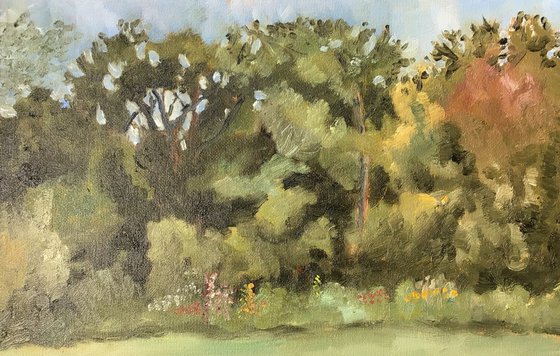Trees in the country park. Original oil painting.